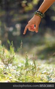 nature, spirituality and supernatural concept - close up of hand with bracelet pointing finger to heather shrub in forest. close up of hand with bracelet in forest