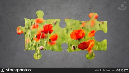 nature, summer, ecology and environment concept - puzzle peaces of blooming poppy field over gray concrete background
