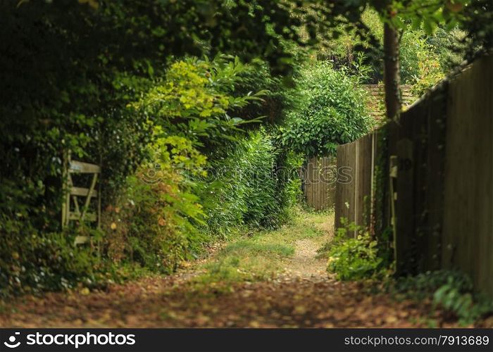 Nature summer landscape. Countryside view and rustic gate in England, UK.