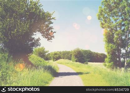 Nature trail in a summer landscape with sunshine