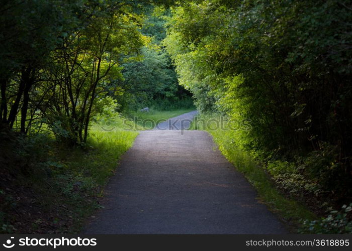 Nature trail with lush vegetation and trees.