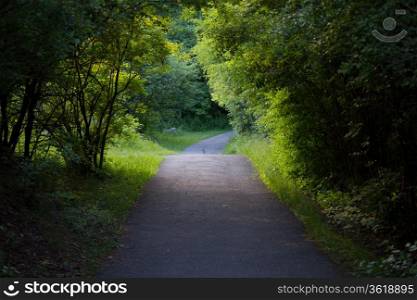 Nature trail with lush vegetation and trees.
