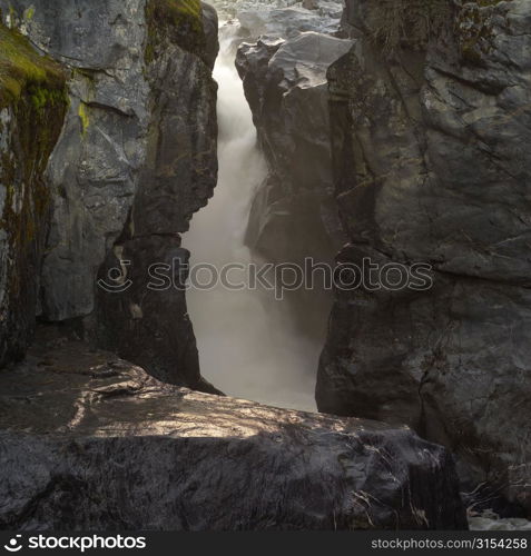 Nature trails in British Columbia. Canada