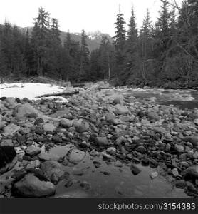 Nature trails in British Columbia, Canada