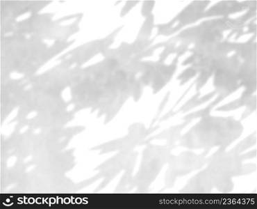 Nature tropical leaves tree branch plant shadow sunlight on cement background.