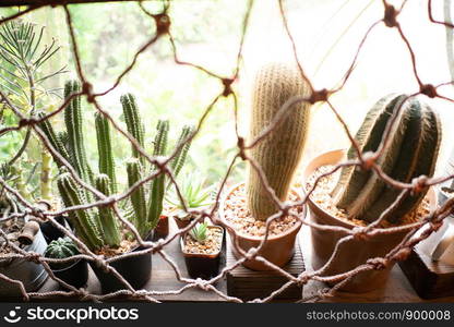 nature zone in cafe, green concept