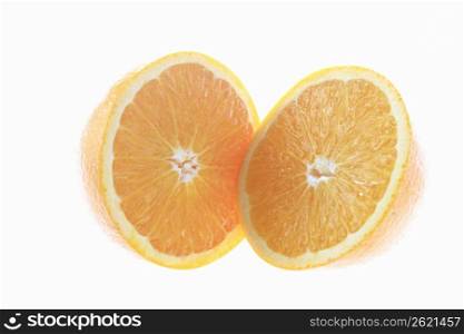 Navel orange