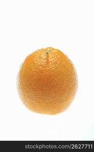 Navel orange