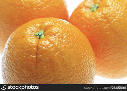 Navel orange