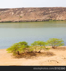 near sandy beach sky palm and mountain in oman arabic sea the hill