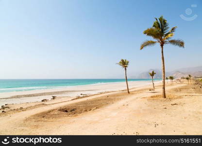 near sandy beach sky palm and mountain in oman arabic sea the hill