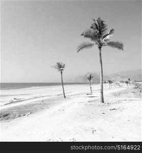near sandy beach sky palm and mountain in oman arabic sea the hill