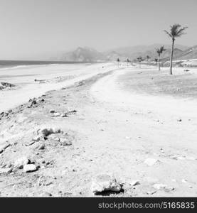 near sandy beach sky palm and mountain in oman arabic sea the hill