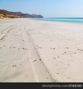 near sandy beach sky palm and mountain in oman arabic sea the hill