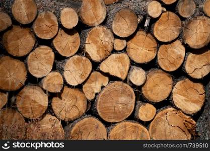 Neatly stacked Firewood In the Prairies of Canada
