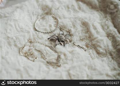 Necklace, earrings and hairpin of the bride before wedding.. Ornaments on wedding 720.