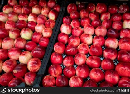nectarines in the market
