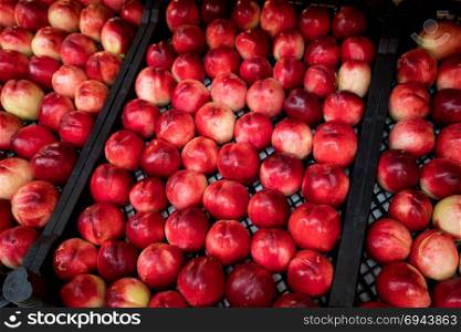 nectarines in the market