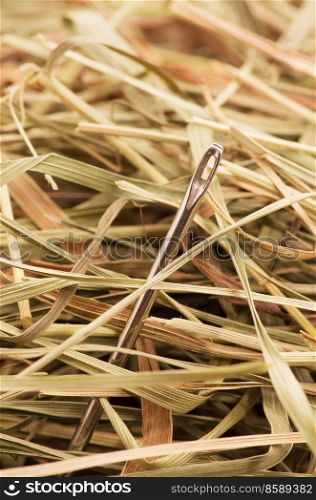 Needle in a haystack.