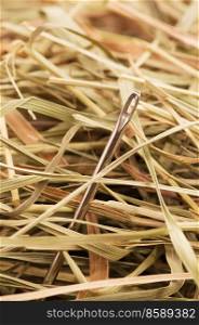 Needle in a haystack.