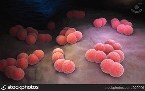 Neisseria meningitidis or meningococcus is a bacterium that can cause meningitis and other forms of meningococcal disease. 3D illustration. Neisseria meningitidis bacteria