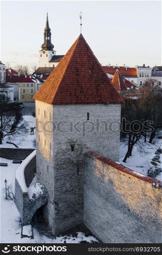 Neitsi (maiden&rsquo;s) tower in Tallinn