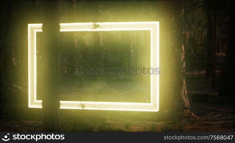 Neon glowing rectangle frame in the night forest