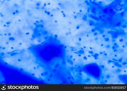 Nerve cell under the microscope - Abstract blue dots on white background.