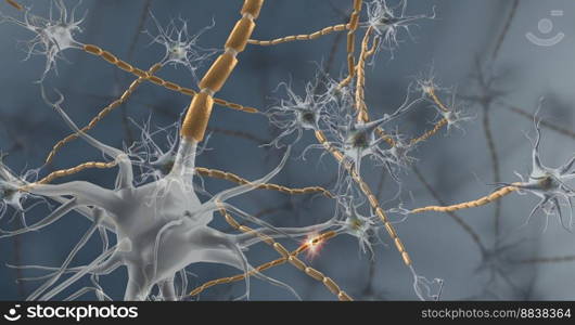 Nervous tissue is found in the brain, spinal cord, and nerves 3d illustration. Nervous tissue, also called neural tissue, is the main tissue component of the nervous system.