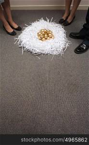 Nest of golden eggs