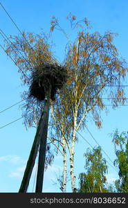 Nest of storks on the telegraph-pole in village. Nest of storks in village on a background of the blue sky