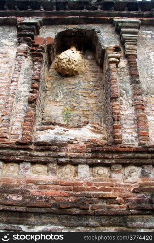 Nest on the shrine near stupa Rankot Vihara in Polonnaruwa, Sri Lanka