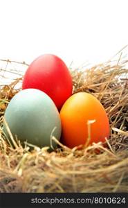 Nest with easter eggs isolated over white background&#xA;