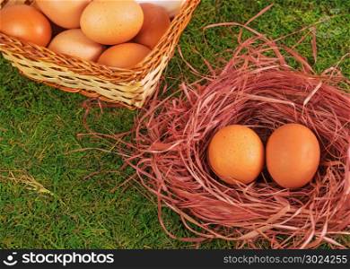 Nest with eggs and basket with eggs on the grass