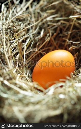 Nest with orange easter egg close up