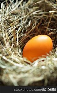Nest with orange easter egg close up