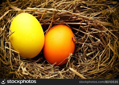 Nest with two easter eggs close up