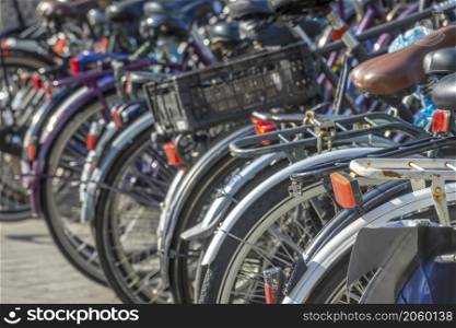 Netherlands. Sunny day in the bicycle parking of Amsterdam. Lots of new and old bicycles. Bicycle Parking With Many Bicycles on a Sunny Day