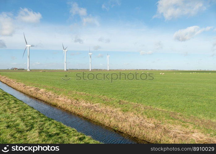 NETHERLANDS - WARNS - MEDIO FEBRUARY 2016  Pasture at Warns in Friesland, Netherlands.