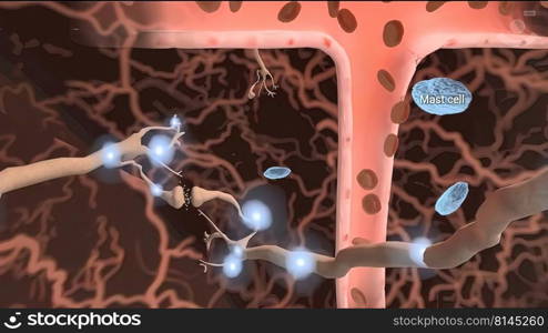 neurobiology, nervous system cells 3d illustration. neurobiology, nervous system cells