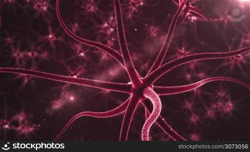 Neurons with electric impulses.Real Neuron synapse network 3D animation.