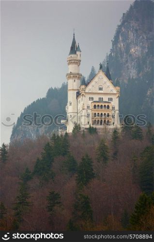 Neuschwanstein castle in Bavarian alps, Germany