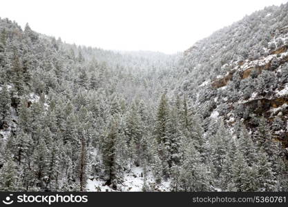 Nevada USA spring first snow in the mountains