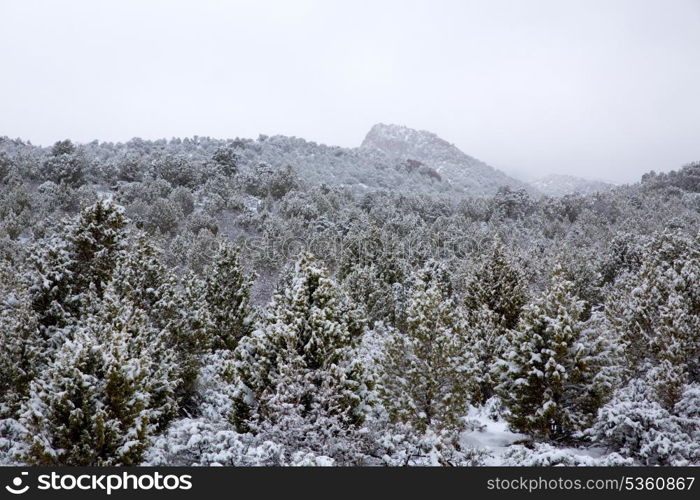 Nevada USA spring first snow in the mountains