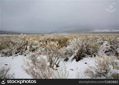 Nevada USA spring first snow in the mountains