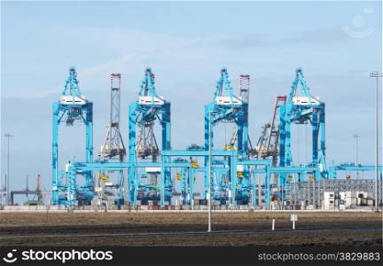 new blue industrial cranes for loading and unloading in the new harbor in holland called second maasvlakte