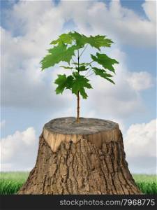 New development and renewal as a business concept of emerging leadership success with an old cut down tree and a new strong seedling growing from the center trunk as a concept of support and building a future.