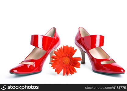 New elegant shoes on high heel and a bright flower