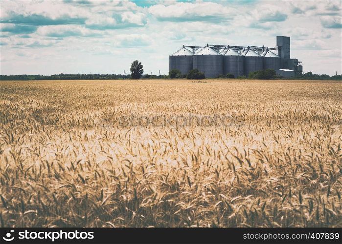 new grain elevator on the background of a wheat field
