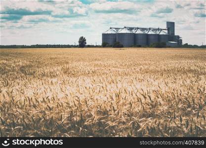 new grain elevator on the background of a wheat field